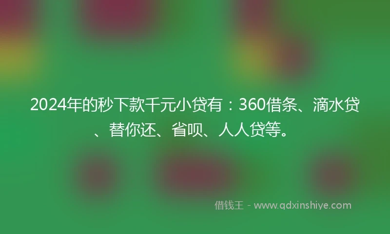 2024年的秒下款千元小贷有：360借条、滴水贷、替你还、省呗、人人贷等。