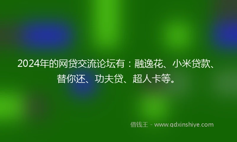 2024年的网贷交流论坛有：融逸花、小米贷款、替你还、功夫贷、超人卡等。