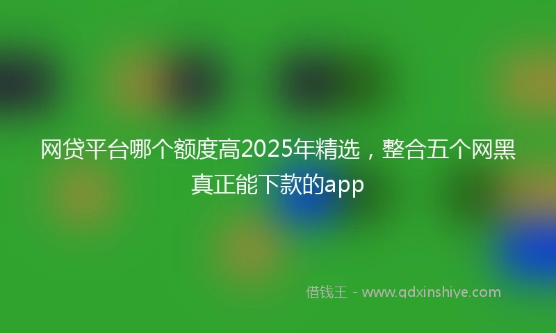 网贷平台哪个额度高2025年精选，整合五个网黑真正能下款的app