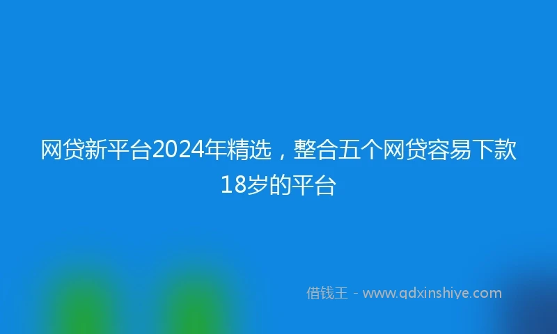 网贷新平台2024年精选，整合五个网贷容易下款18岁的平台