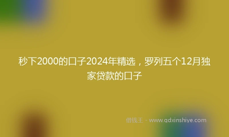 秒下2000的口子2024年精选，罗列五个12月独家贷款的口子