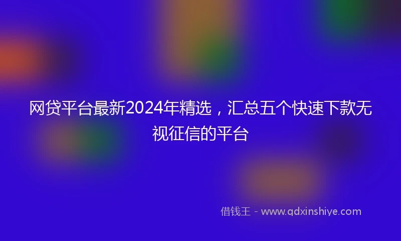 网贷平台最新2024年精选,汇总五个快速下款无视征信的平台