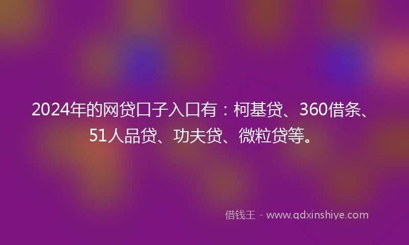 2024年的网贷口子入口有：柯基贷、360借条、51人品贷、功夫贷、微粒贷等。