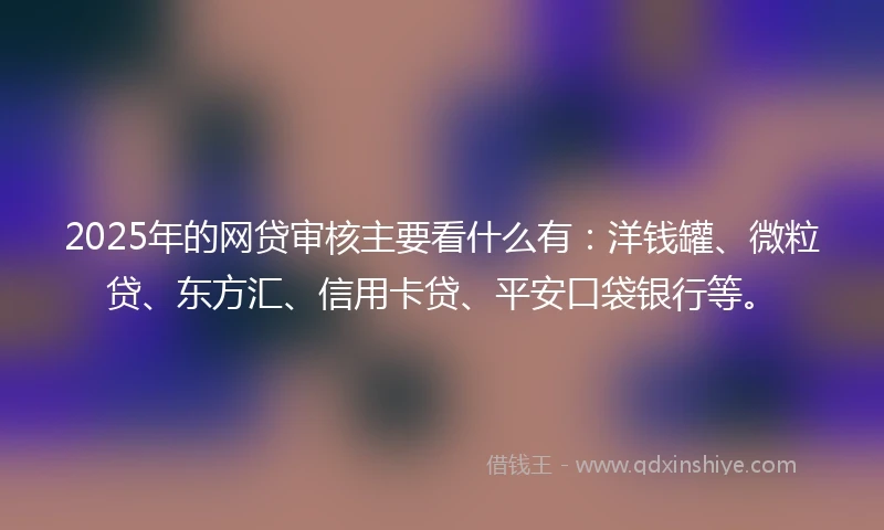 2025年的网贷审核主要看什么有：洋钱罐、微粒贷、东方汇、信用卡贷、平安口袋银行等。