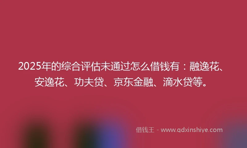 2025年的综合评估未通过怎么借钱有：融逸花、安逸花、功夫贷、京东金融、滴水贷等。