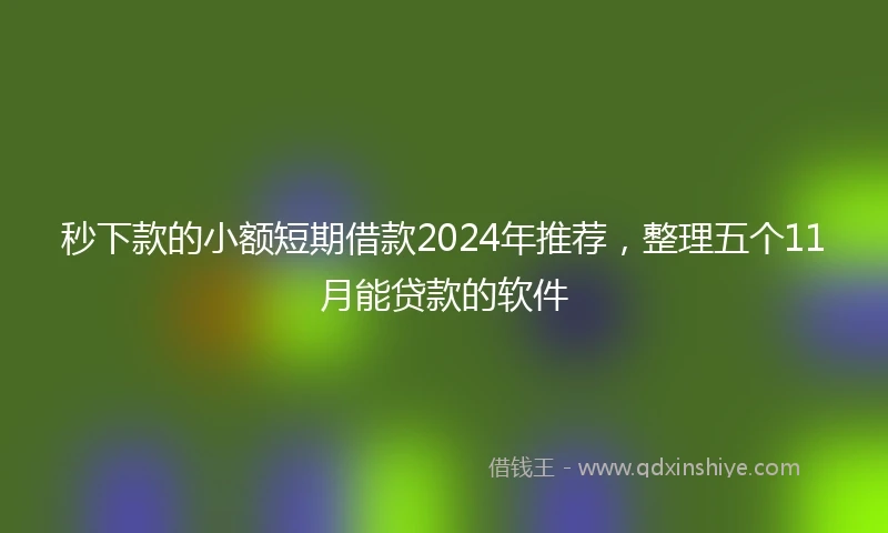 秒下款的小额短期借款2024年推荐，整理五个11月能贷款的软件