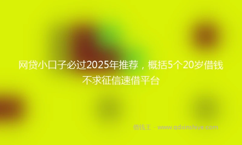 网贷小口子必过2025年推荐，概括5个20岁借钱不求征信速借平台