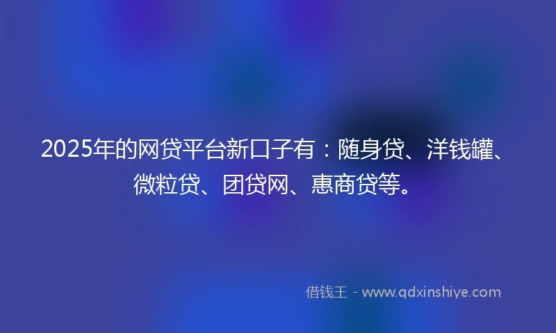 2025年的网贷平台新口子有：随身贷、洋钱罐、微粒贷、团贷网、惠商贷等。