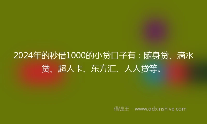 2024年的秒借1000的小贷口子有：随身贷、滴水贷、超人卡、东方汇、人人贷等。