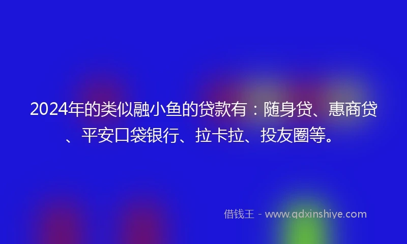 2024年的类似融小鱼的贷款有：随身贷、惠商贷、平安口袋银行、拉卡拉、投友圈等。