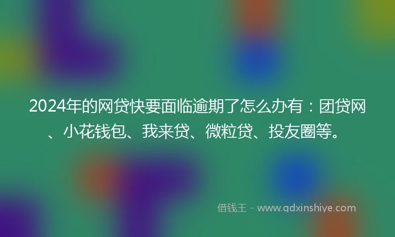 2024年的网贷快要面临逾期了怎么办有：团贷网、小花钱包、我来贷、微粒贷、投友圈等。