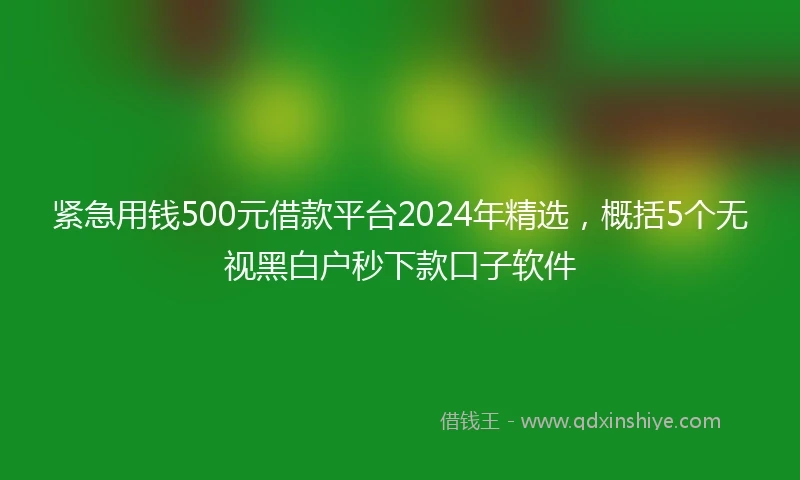 紧急用钱500元借款平台2024年精选，概括5个无视黑白户秒下款口子软件