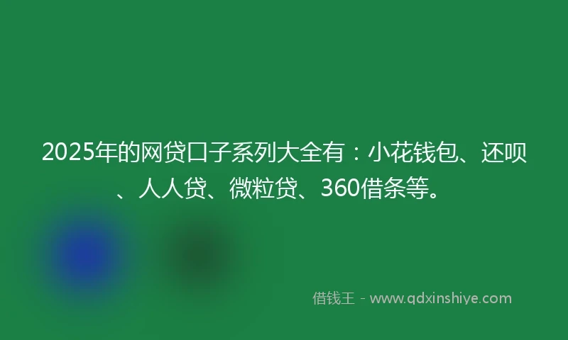2025年的网贷口子系列大全有：小花钱包、还呗、人人贷、微粒贷、360借条等。