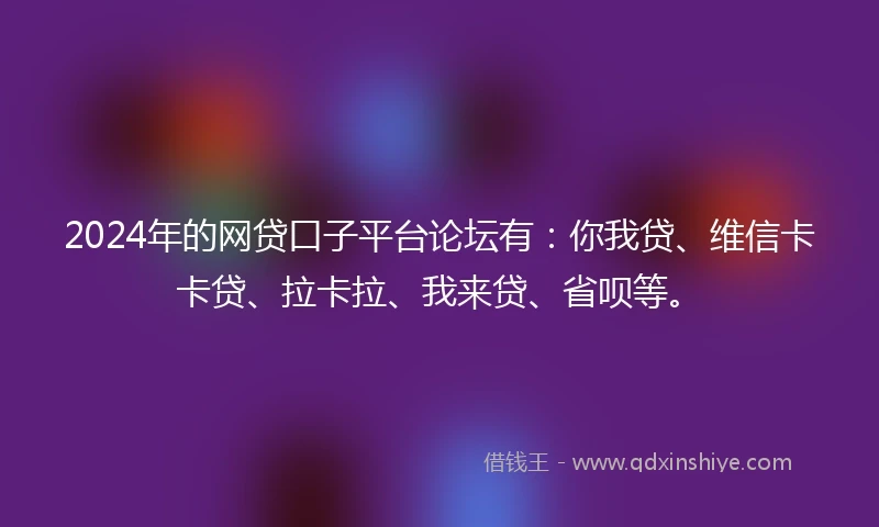 2024年的网贷口子平台论坛有：你我贷、维信卡卡贷、拉卡拉、我来贷、省呗等。