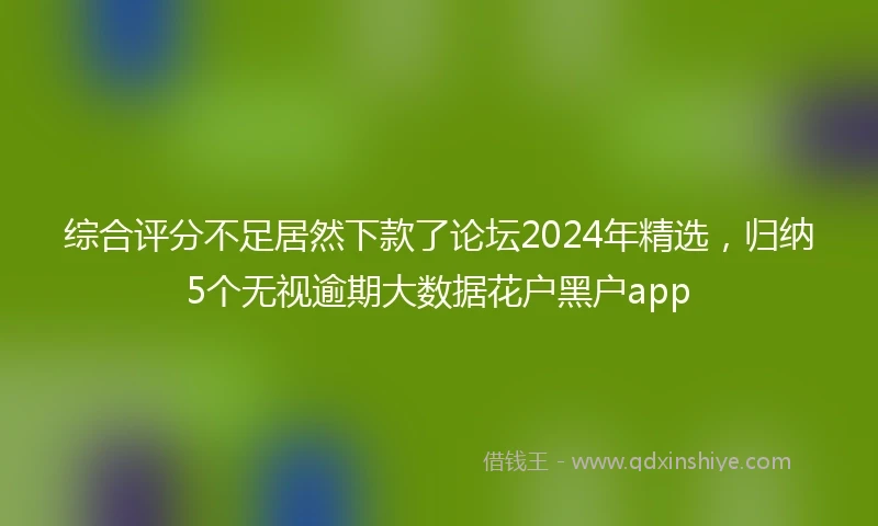 综合评分不足居然下款了论坛2024年精选，归纳5个无视逾期大数据花户黑户app