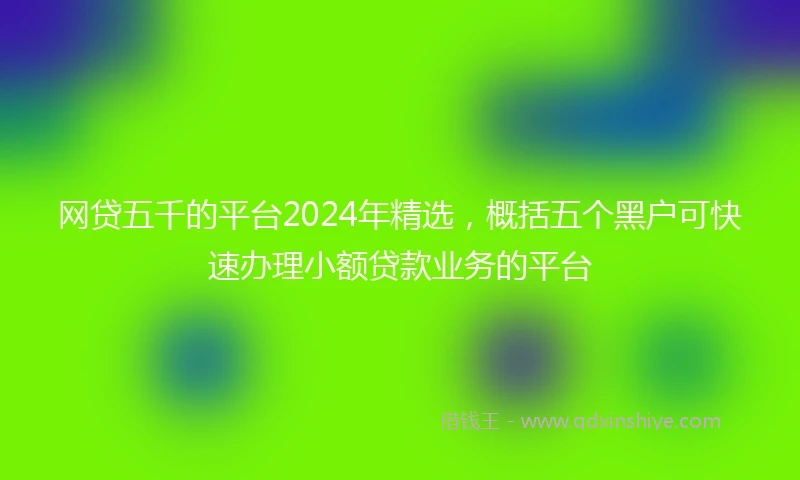 网贷五千的平台2024年精选，概括五个黑户可快速办理小额贷款业务的平台