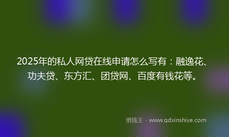 2025年的私人网贷在线申请怎么写有：融逸花、功夫贷、东方汇、团贷网、百度有钱花等。