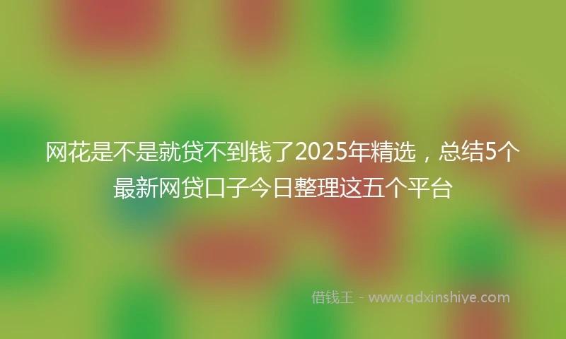 网花是不是就贷不到钱了2025年精选，总结5个最新网贷口子今日整理这五个平台
