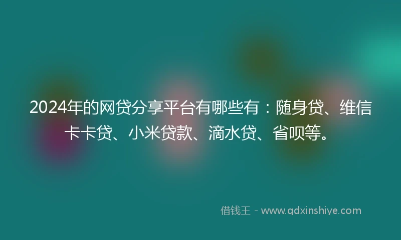 2024年的网贷分享平台有哪些有：随身贷、维信卡卡贷、小米贷款、滴水贷、省呗等。