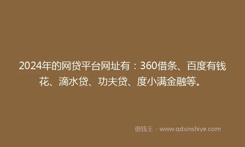 2024年的网贷平台网址有：360借条、百度有钱花、滴水贷、功夫贷、度小满金融等。