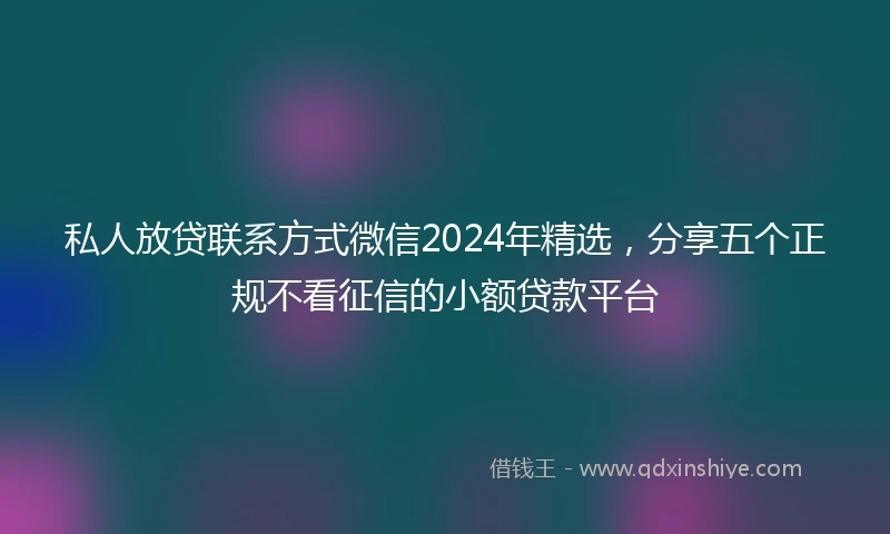 私人放贷联系方式微信2024年精选，分享五个正规不看征信的小额贷款平台