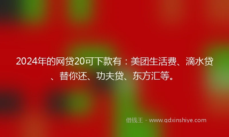 2024年的网贷20可下款有：美团生活费、滴水贷、替你还、功夫贷、东方汇等。