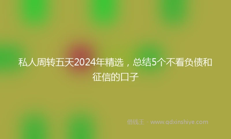 私人周转五天2024年精选，总结5个不看负债和征信的口子