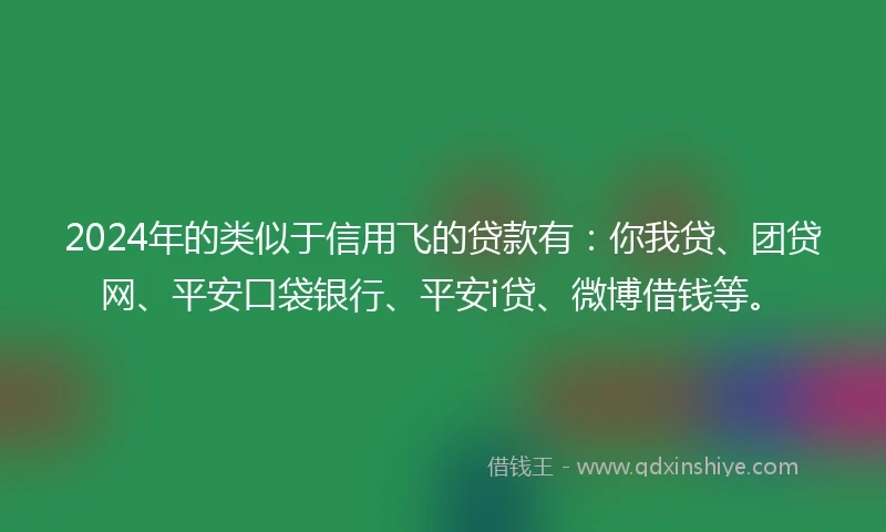 2024年的类似于信用飞的贷款有：你我贷、团贷网、平安口袋银行、平安i贷、微博借钱等。
