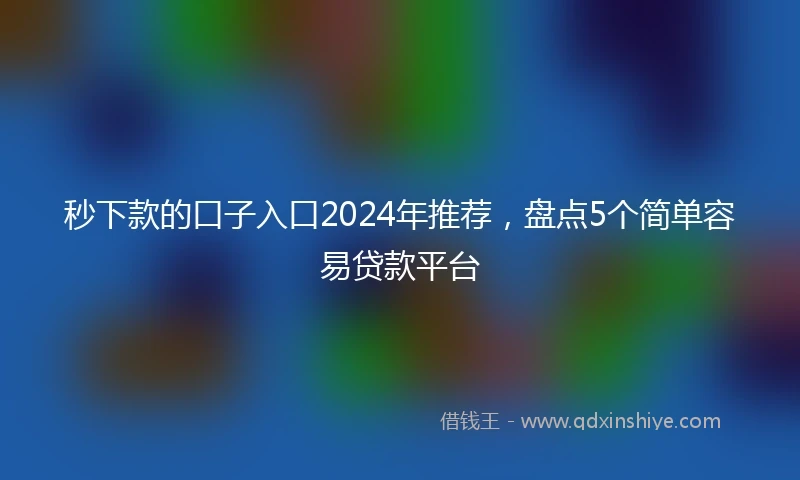 秒下款的口子入口2024年推荐，盘点5个简单容易贷款平台