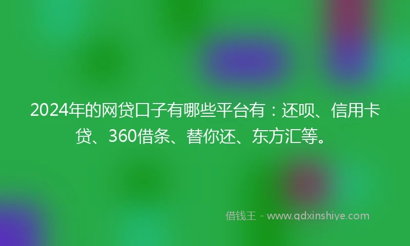2024年的网贷口子有哪些平台有：还呗、信用卡贷、360借条、替你还、东方汇等。