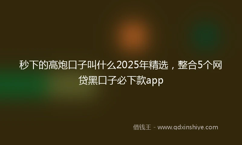 秒下的高炮口子叫什么2025年精选，整合5个网贷黑口子必下款app