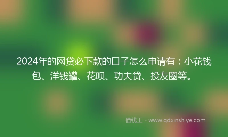 2024年的网贷必下款的口子怎么申请有：小花钱包、洋钱罐、花呗、功夫贷、投友圈等。