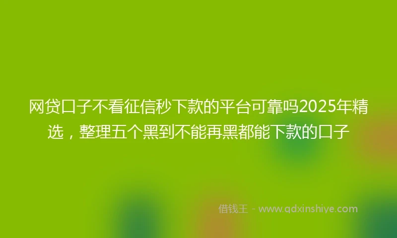 网贷口子不看征信秒下款的平台可靠吗2025年精选，整理五个黑到不能再黑都能下款的口子