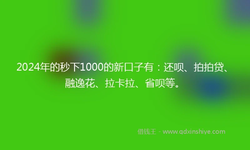 2024年的秒下1000的新口子有：还呗、拍拍贷、融逸花、拉卡拉、省呗等。