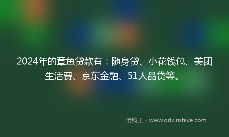 2024年的章鱼贷款有：随身贷、小花钱包、美团生活费、京东金融、51人品贷等。