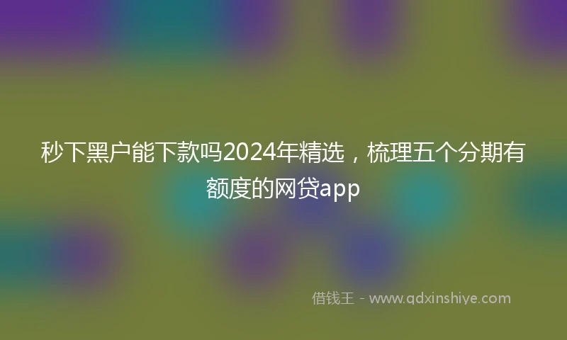 秒下黑户能下款吗2024年精选，梳理五个分期有额度的网贷app
