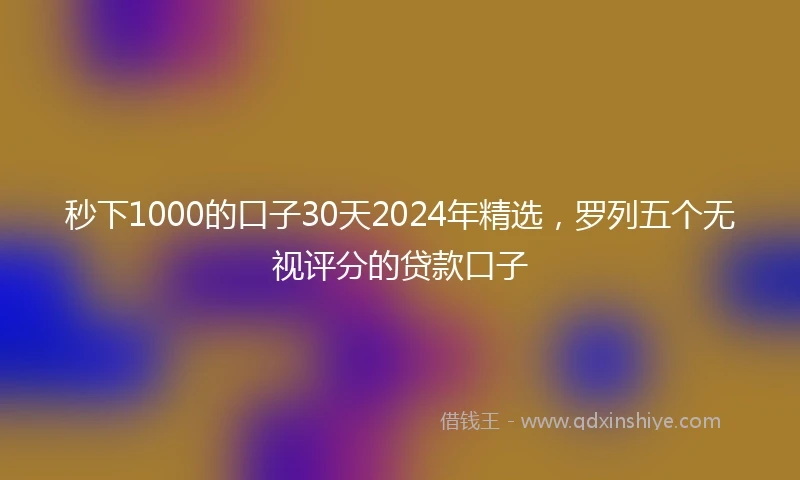 秒下1000的口子30天2024年精选，罗列五个无视评分的贷款口子