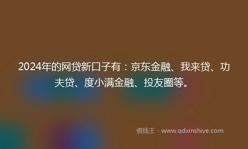 2024年的网贷新口子有：京东金融、我来贷、功夫贷、度小满金融、投友圈等。