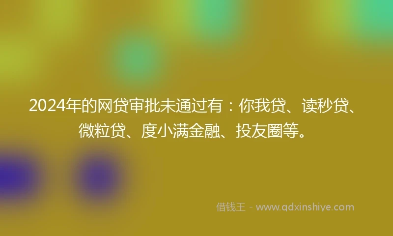 2024年的网贷审批未通过有：你我贷、读秒贷、微粒贷、度小满金融、投友圈等。