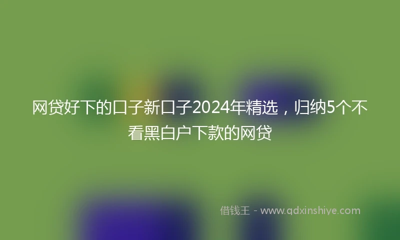 网贷好下的口子新口子2024年精选，归纳5个不看黑白户下款的网贷