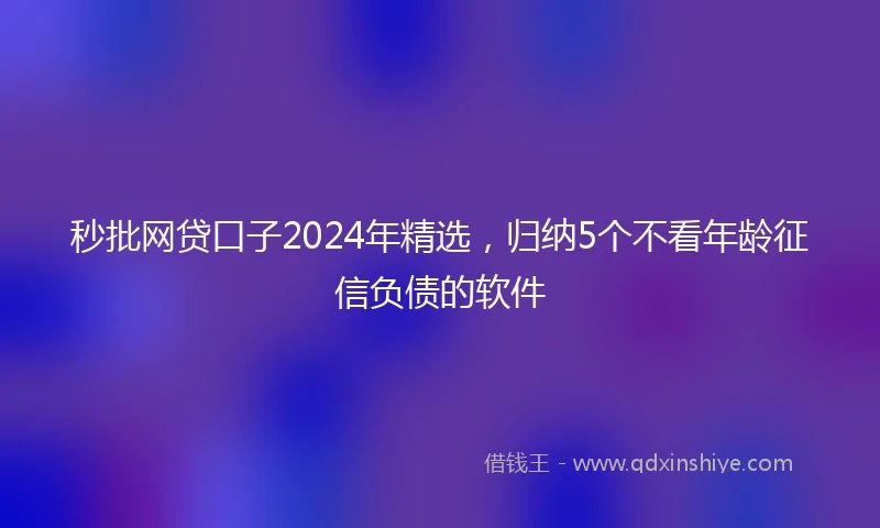 秒批网贷口子2024年精选，归纳5个不看年龄征信负债的软件
