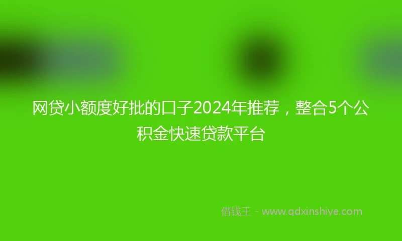 网贷小额度好批的口子2024年推荐，整合5个公积金快速贷款平台