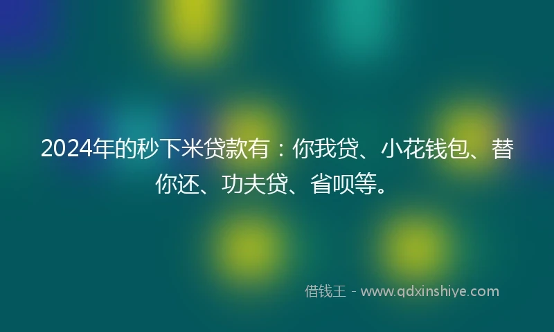 2024年的秒下米贷款有：你我贷、小花钱包、替你还、功夫贷、省呗等。