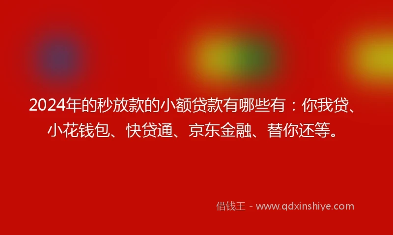 2024年的秒放款的小额贷款有哪些有：你我贷、小花钱包、快贷通、京东金融、替你还等。