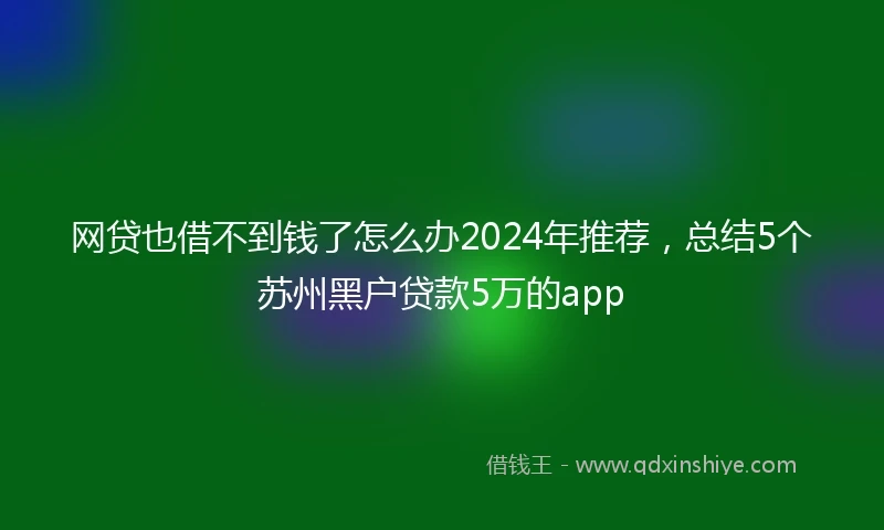 网贷也借不到钱了怎么办2024年推荐,总结5个苏州黑户贷款5万的app