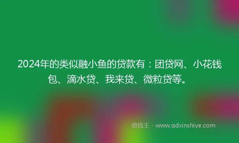 2024年的类似融小鱼的贷款有：团贷网、小花钱包、滴水贷、我来贷、微粒贷等。