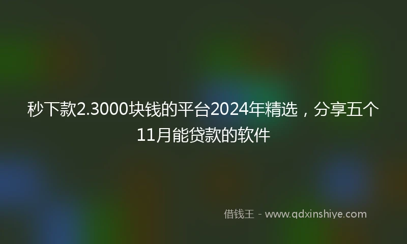 秒下款2.3000块钱的平台2024年精选，分享五个11月能贷款的软件