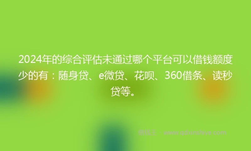 2024年的综合评估未通过哪个平台可以借钱额度少的有：随身贷、e微贷、花呗、360借条、读秒贷等。