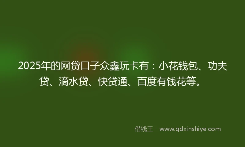 2025年的网贷口子众鑫玩卡有：小花钱包、功夫贷、滴水贷、快贷通、百度有钱花等。