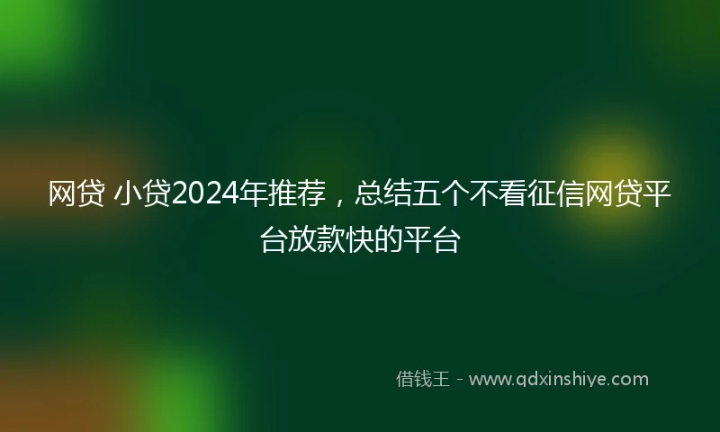 网贷 小贷2024年推荐，总结五个不看征信网贷平台放款快的平台